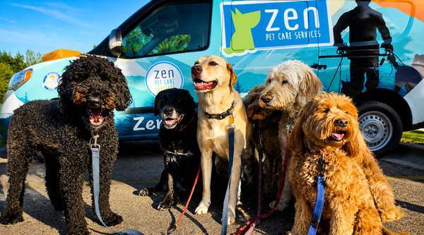 Why an Active Lifestyle Matters for Dogs in Boise