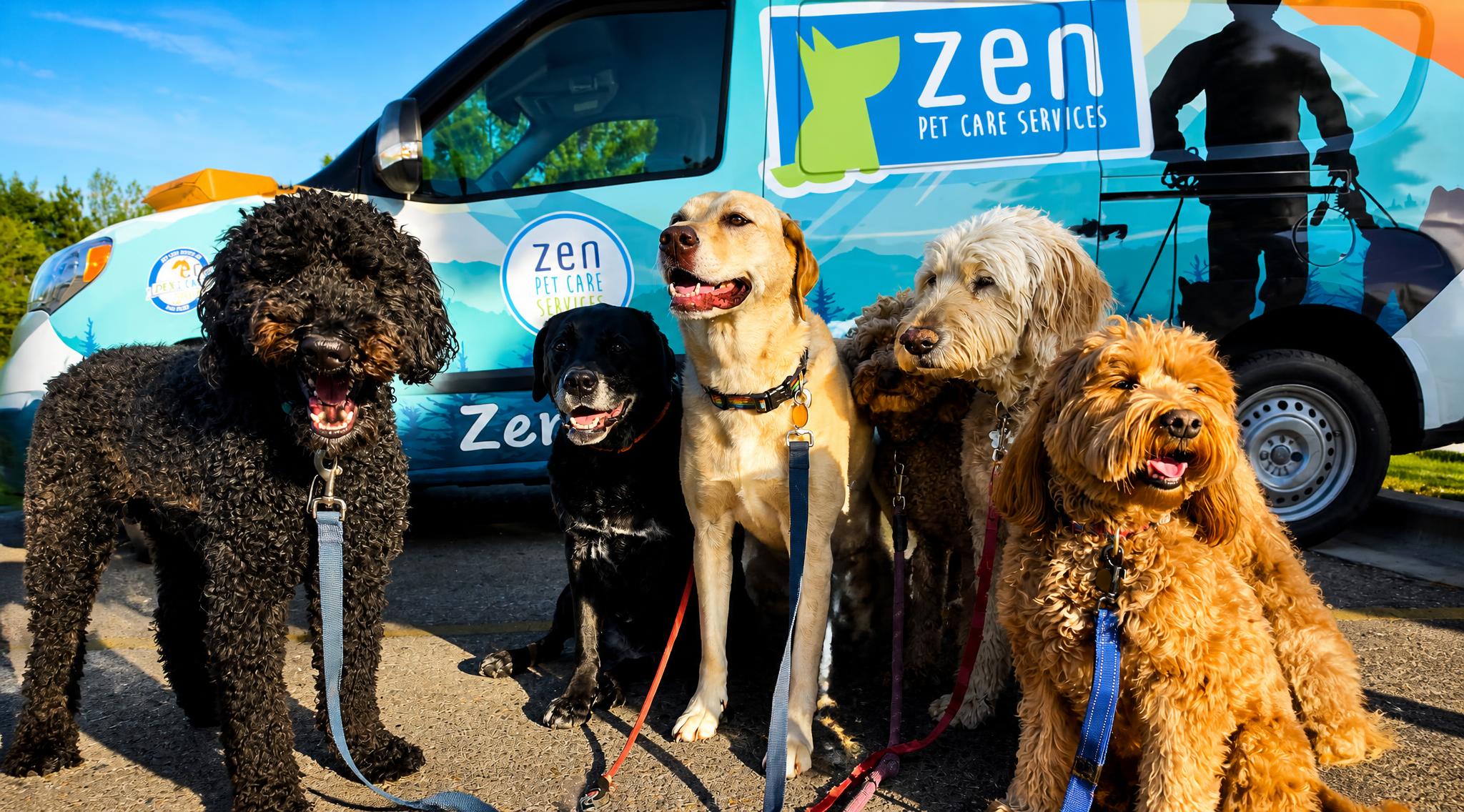 Why an Active Lifestyle Matters for Dogs in Boise